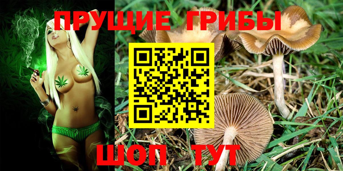 Галлюциногенные грибы Cubensis  Галлюциногенные грибы Psilocybe  Ивантеевка  наркошоп  Вход с VPN 